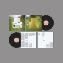 Spiritualized: Everything Was Beautiful - Vinyl
