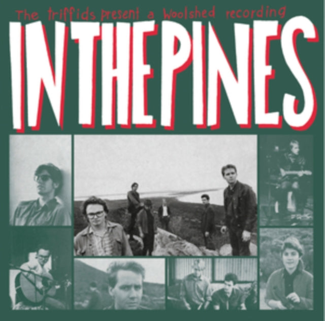 The Triffids: In The Pines - Vinyl