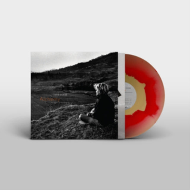David Sylvian: Alchemy: An Index Of Possibilities - Vinyl