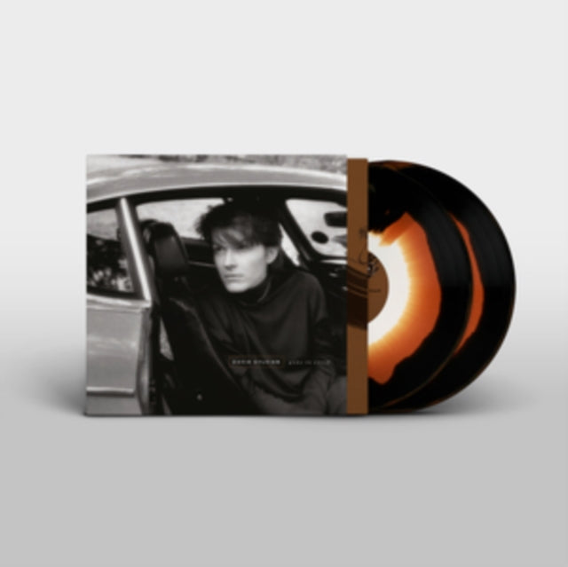 David Sylvian: Gone To Earth - Vinyl