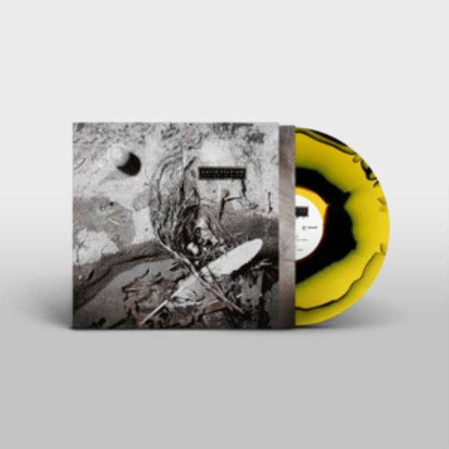 David Sylvian: Secrets Of The Beehive - Vinyl