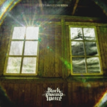 Black Swamp Water: Distant Thunder - Vinyl