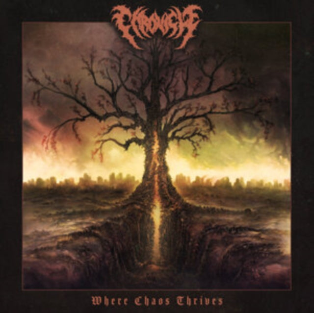 Chronicle: Where Chaos Thrives - CD