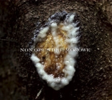 Non Opus Dei/Morowe: Dziwki Dwie - CD