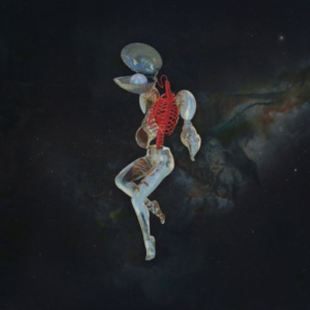 Hail Spirit Noir: Fossil Garden - CD