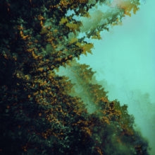 Polymoon: Caterpillars Of Creation - Vinyl