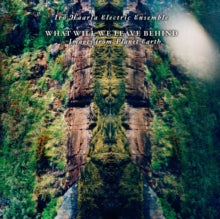 Irlo Haarla Electric Ensemble: What Will We Leave Behind - Vinyl