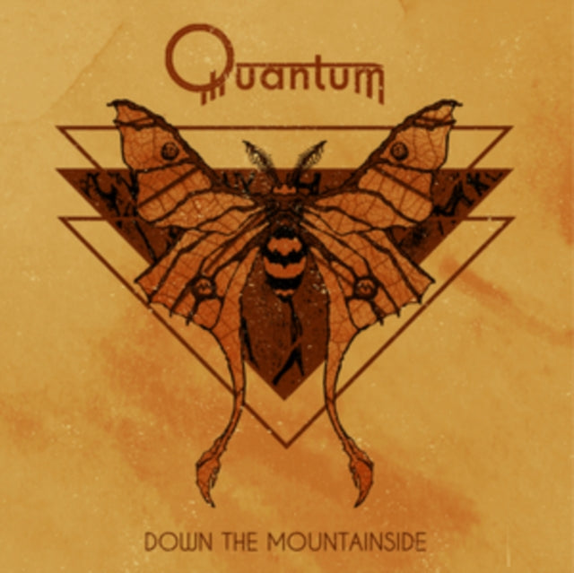Quantum: Down The Mountainside - Vinyl