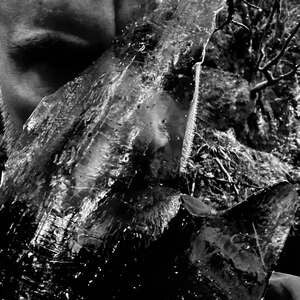 Taake: En Skog Av Nidstang (Clear Vinyl) - Vinyl
