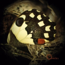 Ossicles: Music For Wastelands - Vinyl
