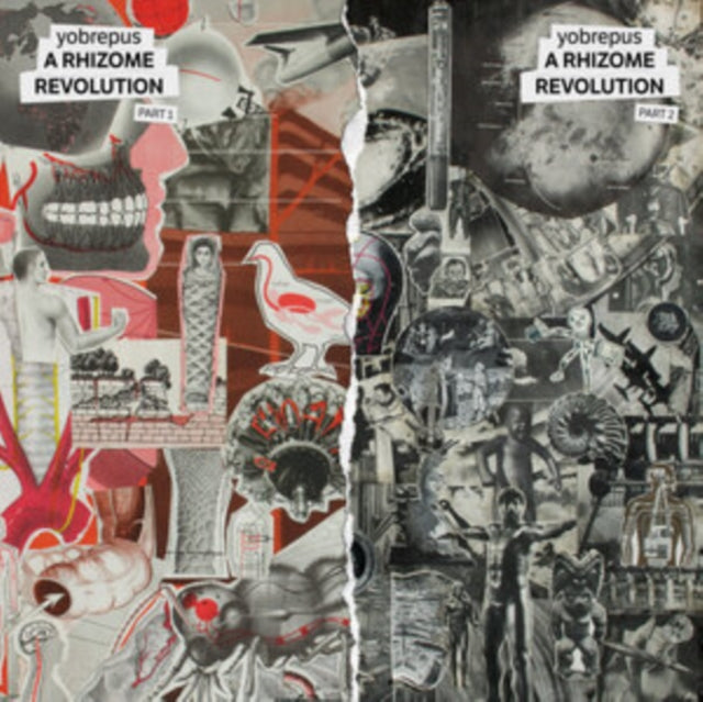 Yobrepus: A Rhizome Revolution Part 1 - CD
