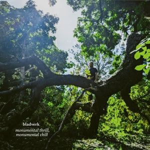 Bladverk: Monumental Thrill. Monumental Chill - Vinyl