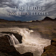 Reykjavik Cowilkinson: Leifselegies - CD