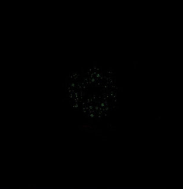 Dughpa: Ii - CD