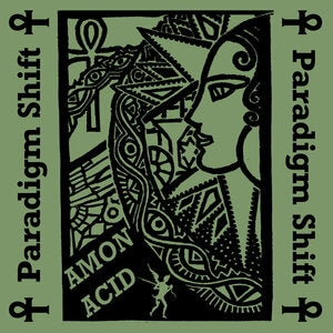 Amon Acid: Paradigm Shift - CD