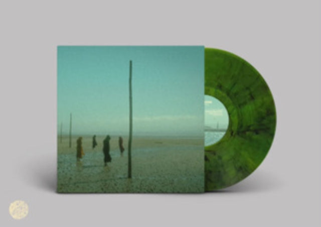 Devil's Witches: In All Her Forms (Green/Black Marbled Vinyl) - Vinyl