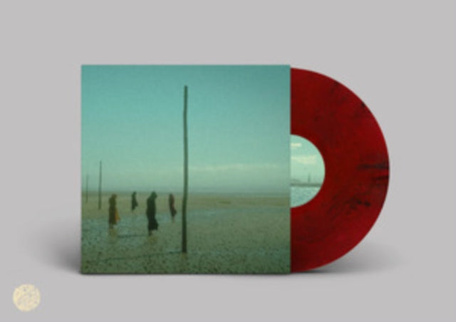 Devil's Witches: In All Her Forms (Red/Black Marbled Vinyl) - Vinyl