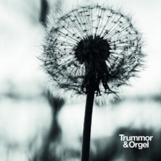 Trummor & Orgel: Graceful Degradation / New Beginning - CD