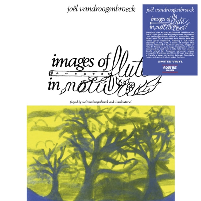 Joel Vandroogenbroeck: Images Of Flute In Nature - Vinyl