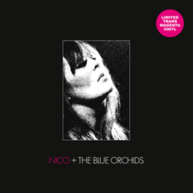 Nico & The Blue Orchids: Live And In Session 1982 (Transparent Magenta Vinyl) - Vinyl