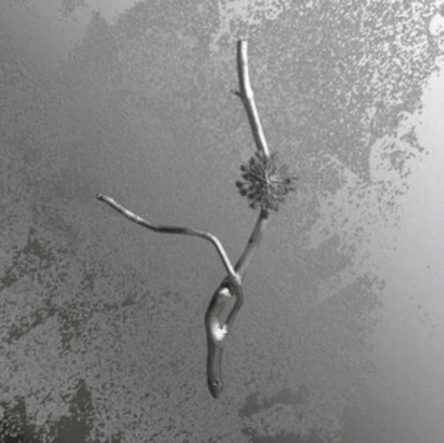 Gaia Banfi: La Maccaia - Vinyl