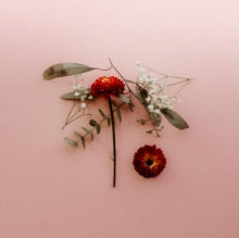 Sunsleeper: You Can Miss Something & Not Want It Back - Vinyl
