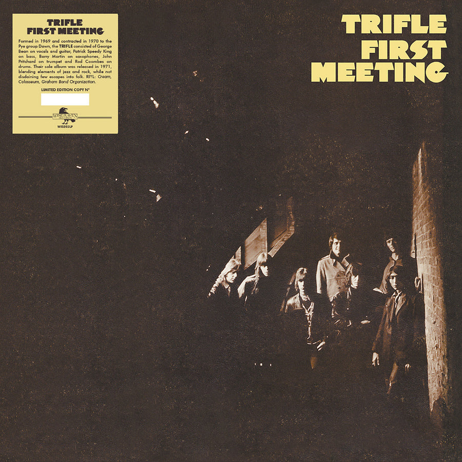 Trifle: First Meeting - Vinyl
