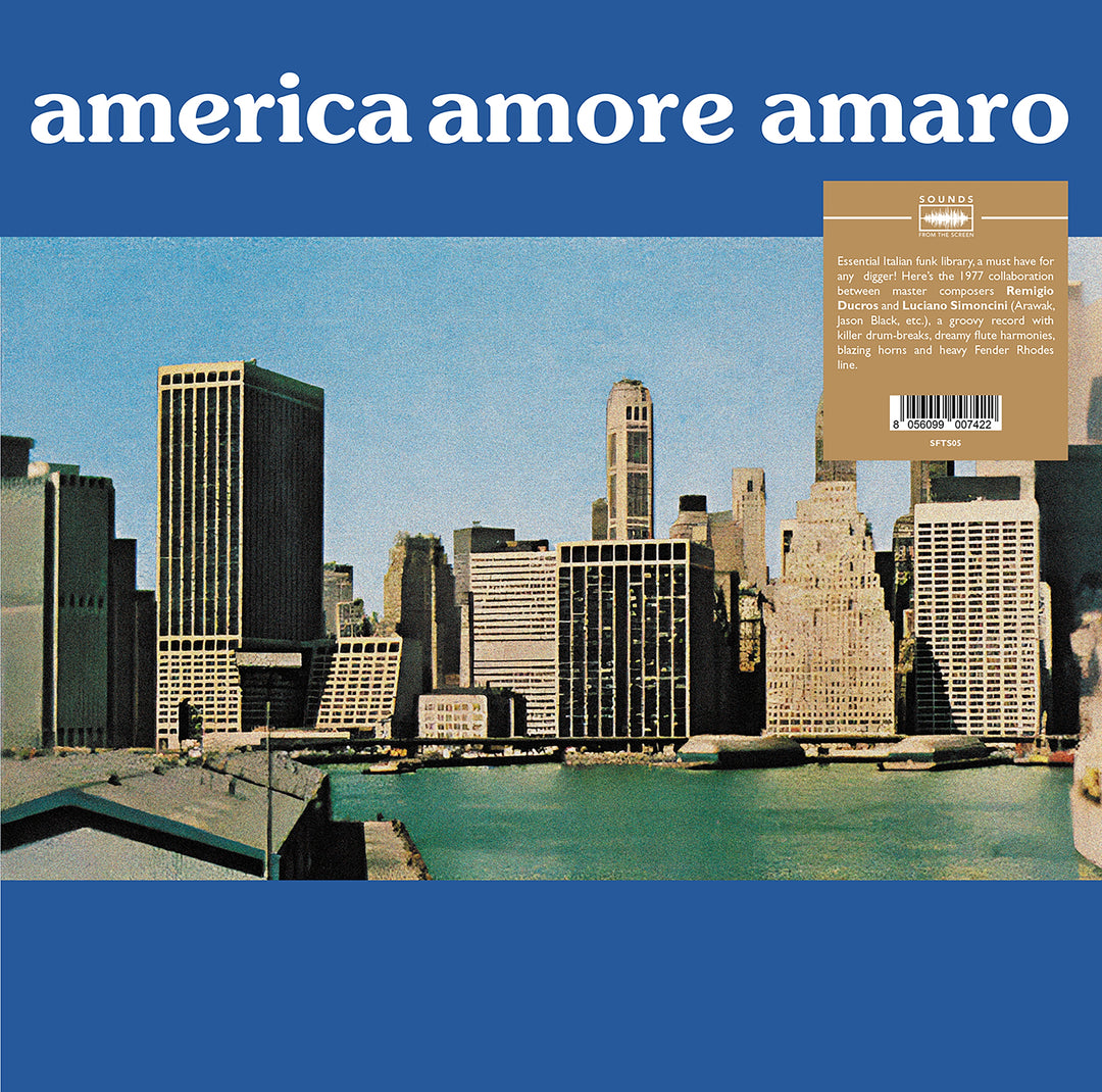 Remigio Du Cros / Luciano Simoncini: America Amore Amaro - Vinyl