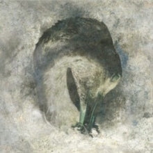 Suma: Ashes (20th Anniversary Edition) - CD
