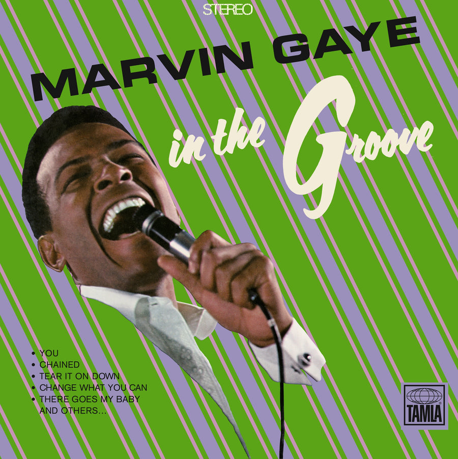 Marvin Gaye: In The Groove - Vinyl