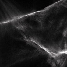Final Light: Final Light - Vinyl