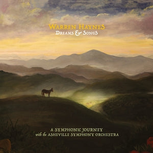 Warren Haynes: Dreams & Songs - Vinyl