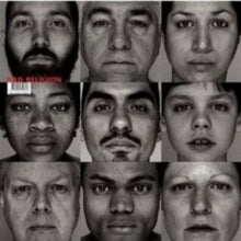Bad Religion: The Gray Race - CD