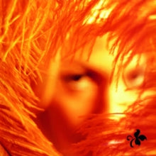 Stone Temple Pilots: Shangri-La Dee Da - Vinyl