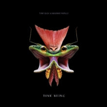 Tony Buck & Massimo Pupillo: Time Being LP - Vinyl