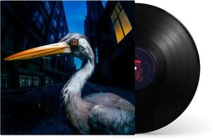 Antony Szmierek: Decoding Birdsong - Vinyl
