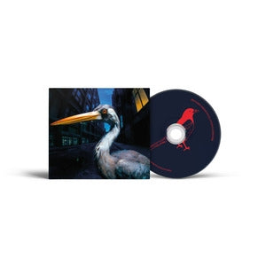 Antony Szmierek: Decoding Birdsong - CD