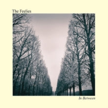 The Feelies: In Between