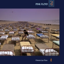 Pink Floyd: A Momentary Lapse of Reason