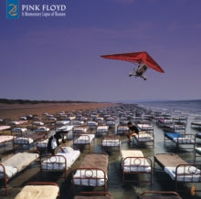 Pink Floyd: Momentary lapse of reason