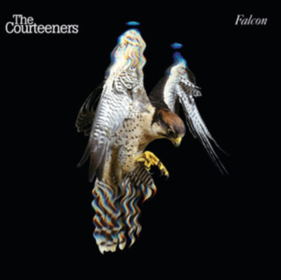 The Courteeners: Falcon