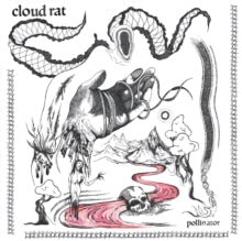 Cloud Rat: Pollinator