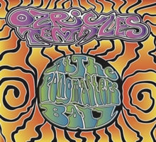 Ozric Tentacles: At the Pongmaster's Ball