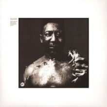 Muddy Waters: After the Rain