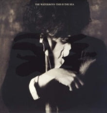 The Waterboys: This Is the Sea