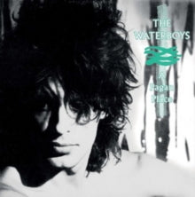 The Waterboys: A Pagan Place