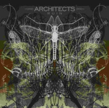 Architects: Ruin