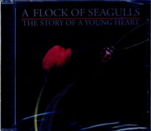 A Flock of Seagulls: The Story of a Young Heart