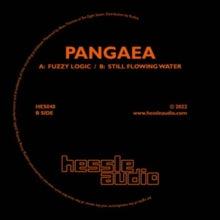 Pangaea: Fuzzy Logic/Still Flowing Water