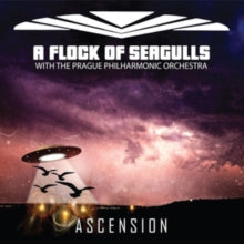 A Flock of Seagulls: Ascension